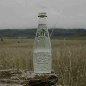 Guitig